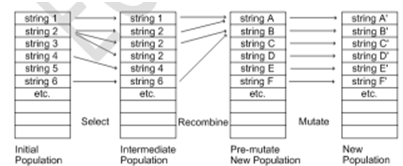 2162_Important part of Process - canonical genetic algorithm.png